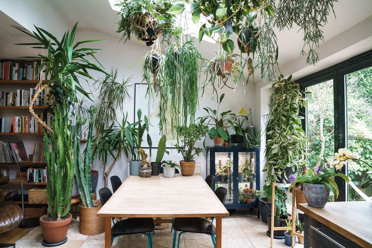 Designing Calm Through Living Green